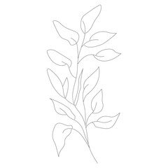 minimalist botanic icon, logo, design, vector illustration, one line drawing