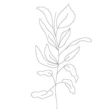 minimalist botanic icon, logo, design, vector illustration, one line drawing