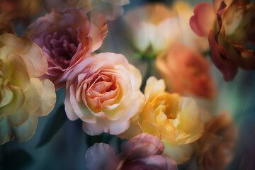 Beautiful close-up of orange and pink roses, made with generative AI