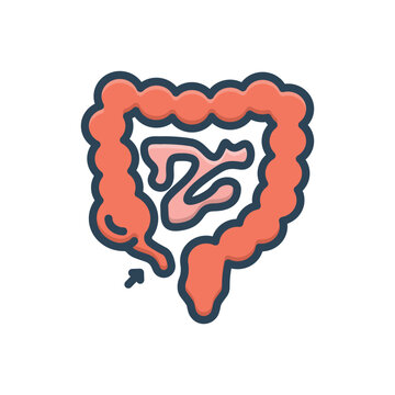 Color illustration icon for appendix 