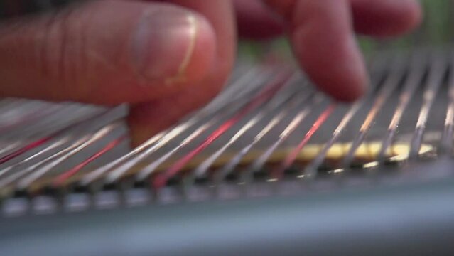 picking Zither strings in slow motion
