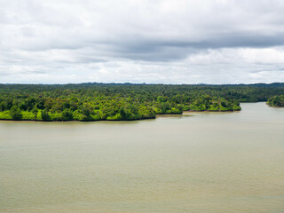 Fototapeta premium View of river water and jungle in front of port of Buenaventura, Colombia