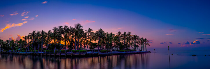 Fototapeta na wymiar Colorful Island Palm Tree Sunset