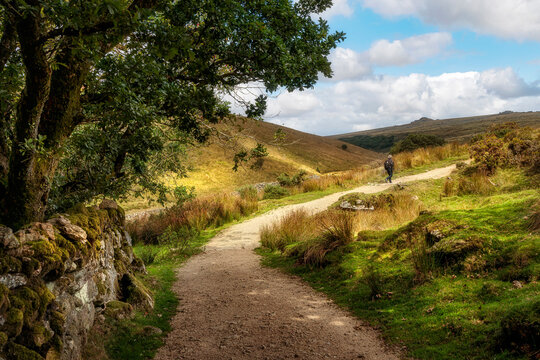 Views walking towards Wistman's Wood, Dartmoor, Devon, England