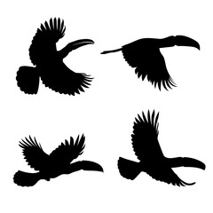 silhouettes of toucan bird vector eps 10