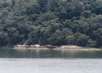 Mata Atlântica preserved in Brazil, in the Serra do Mar do Parana, an untouched and preserved area, in which it has the curitiba paranagua railroad in which it went exactly to the port of Paraná.
