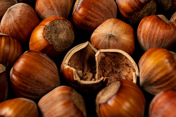 hazelnuts on the dark background