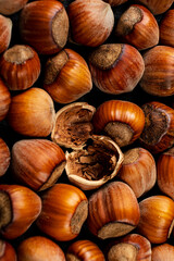hazelnuts on the dark background