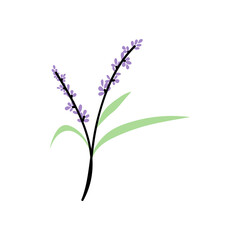 Hand drawn floral doodle