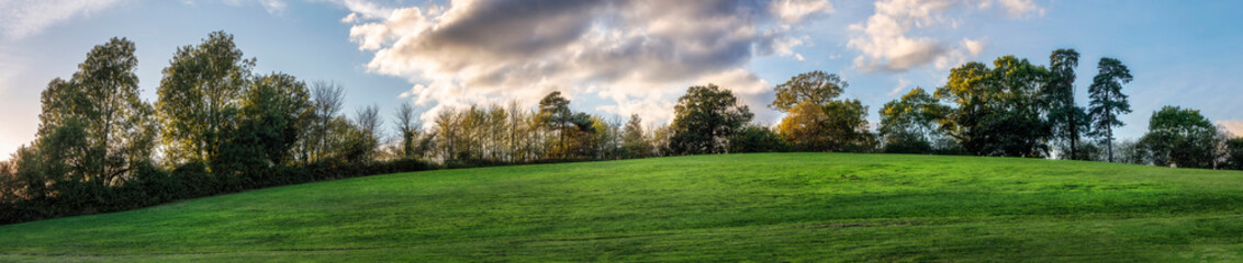 Fototapeta na wymiar Panorama of trees, Llangybi, Usk, Monmouthshire, Wales