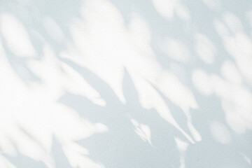 Shadow and sunshine of leaf reflection. Jungle leaves tree gray darkness shade and light on wall...