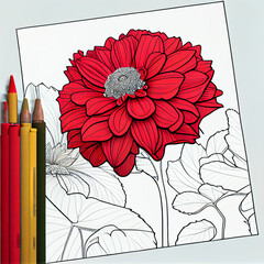  fresh flower drawing 