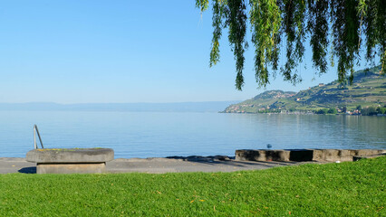 Genfer See bei Montreux in der schönen Schweiz mit Mückenplage Insekten