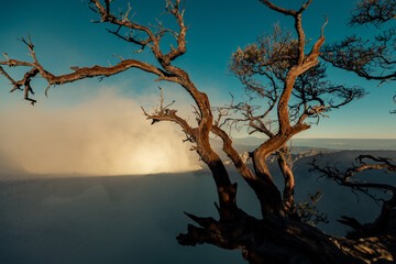 Sunrise over Kawah Ijen Volcano revealing acid turquoise lake and toxic sulfur gases and dead trees next to illegal mining operation, Java, Indonesia