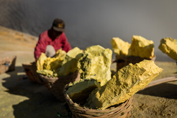 Heavy sulphur blocks carrying by the porters from the bottom of Kawah Ijen volcano caldera from illegal mining operation