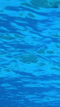 VERTICAL VIDEO, Underwater view on calm surface of blue water. Natural background with surface of blue water. Texture of blue water on surface. Close-up, Slow Motion