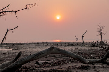 Sunset at Kotka sea beach.this photo was taken from Sundarbans National Park,Bangladesh.