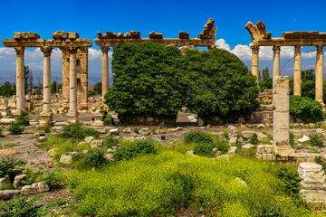 Lebanon. Baalbek (UNESCO World Heritage Site), ancient Heliopolis in Greek and Roman period. Bustan...