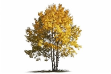 Fototapeta premium tree with yellow leaves on a white background. Generative AI