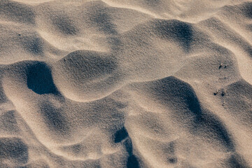 Sand dunes  at Baltic Sea in Poland