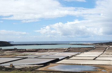 Salt fields production in Lanzarote