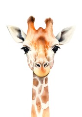 Cartoon watercolor illustration of a cute giraffe on white background. Generative AI.