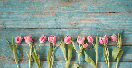 beautiful spring flowers, row of pink tulips flowers on wooden blue background, Valentine's day, easter, birthday, Mother's Day concept, flat lay, negative space,free copy space
