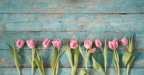 Gordijnen beautiful spring flowers, row of pink tulips flowers on wooden blue background, Valentine's day, easter, birthday, Mother's Day concept, flat lay, negative space,free copy space © Kirsten Hinte