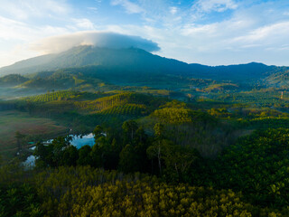 landscape in the morning