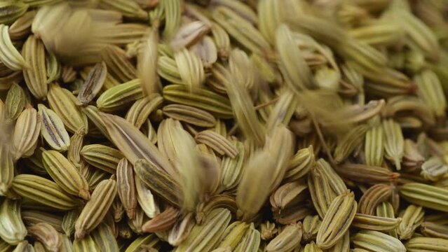 Fennel seeds. Dry fennel seed fall down, macro close up.