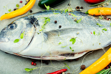 Fresh dorado fish or sea bream.