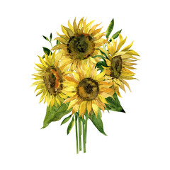 Obraz premium sunflower isolated on white background