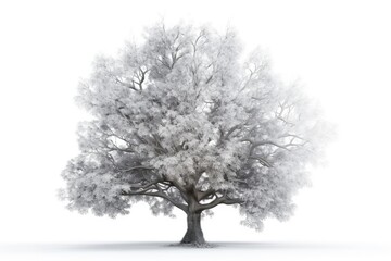 Fototapeta na wymiar lush white tree with abundant foliage. Generative AI