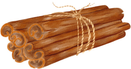 Cinnamon watercolor png