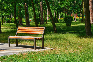 Wooden bench for relaxing in a green park on a sunny day