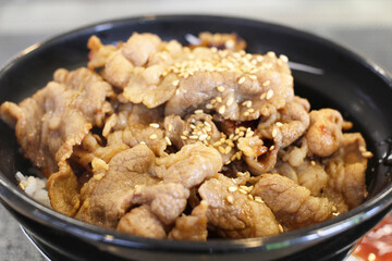 a beef rice bowl, a Japanese food