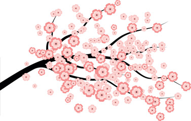 japanese sakura blossom branch