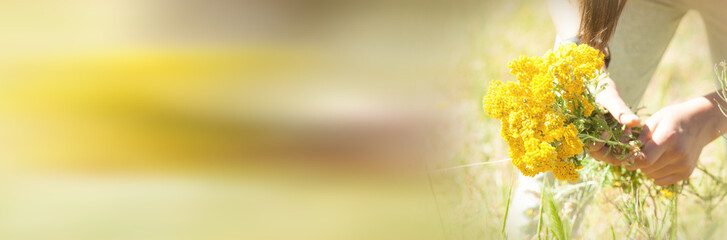  Girl gathering yellow flowers in the field.