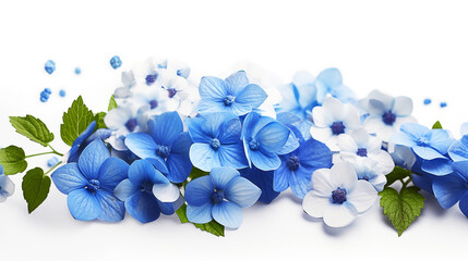 Naklejka na ściany i meble blue flower, white background, masterpiece, high quality