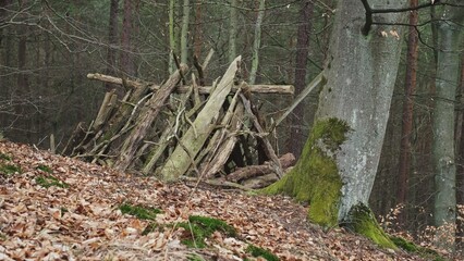 Mysterious Forest Shelter Hut Built with Branches and Sticks