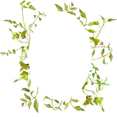 Watercolor wild flower frame on white background, perfect for rustic wedding invitation, save the date, bridal shower, baby shower card, spring wreath, countryside style