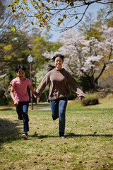 Naklejka na ściany i meble 春の桜満開の公園で遊んでいる子供姉妹の様子