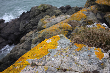 Cliffs on the coast of North East Scotland between Aberdeen city and Cove - Scotland - UK
