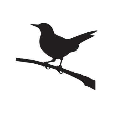 black bird vector silhouette images