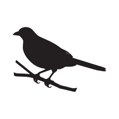 nice  bird silhouette vector images