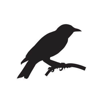 silhouette images vector black bird