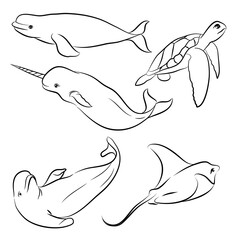 doodle style hand drawn, Fish and wild marine animals in ocean. Sea world dwellers, cute underwater creatures, coral reef inhabitants in their natural habitat, undersea fauna of tropics. Flat cartoon 