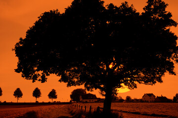 Sonnenuntergang in ländlicher Umgebung / Schwerte, am Rand des Ruhrgebietes