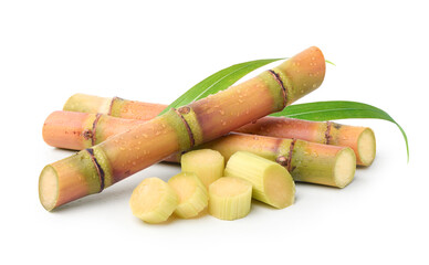 Fresh sugar cane with water droplets and sliced isolated on white background.
