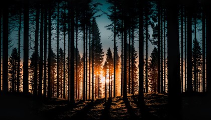 Photograph of a forest at sunset with dark shadows and silhouettes 35mm f2.8 cinematic unsplash  Generative AI